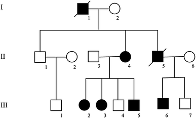 Bifid uvula and familial Stickler syndrome diagnosed prenatally before ...