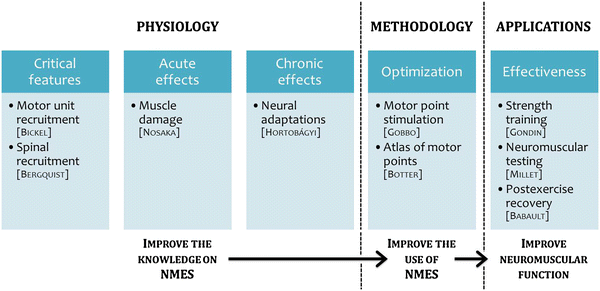 Electrical stimulation for neuromuscular testing and training: state-of ...