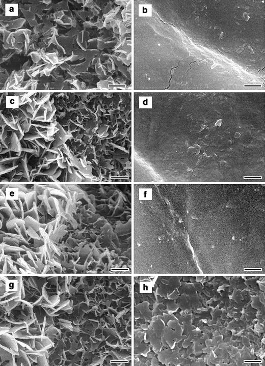 Chemical composition of epicuticular wax crystals on the slippery zone