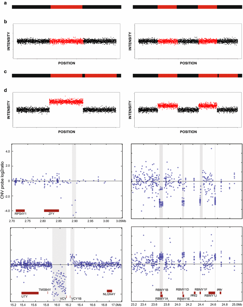 Human Y chromosome copy number variation in the next generation