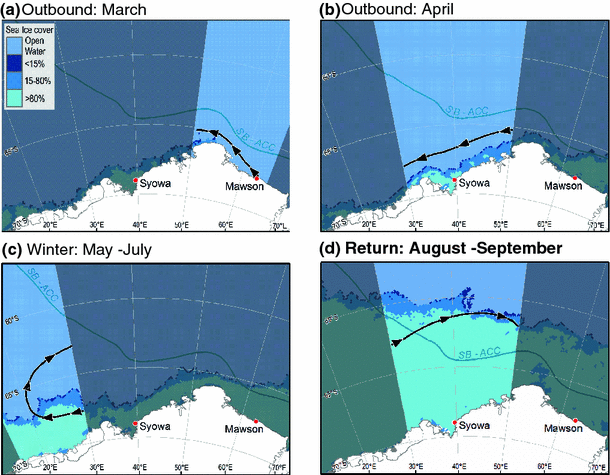 Adélie penguin survival: age structure, temporal  
