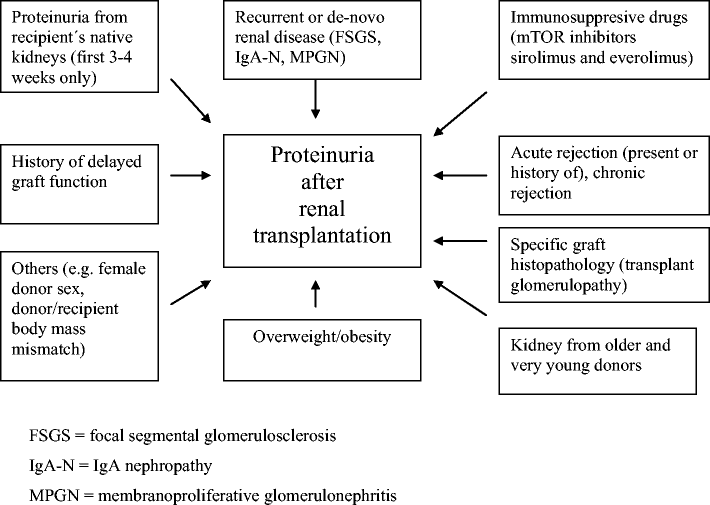 Management of proteinuria in the transplanted patient SpringerLink