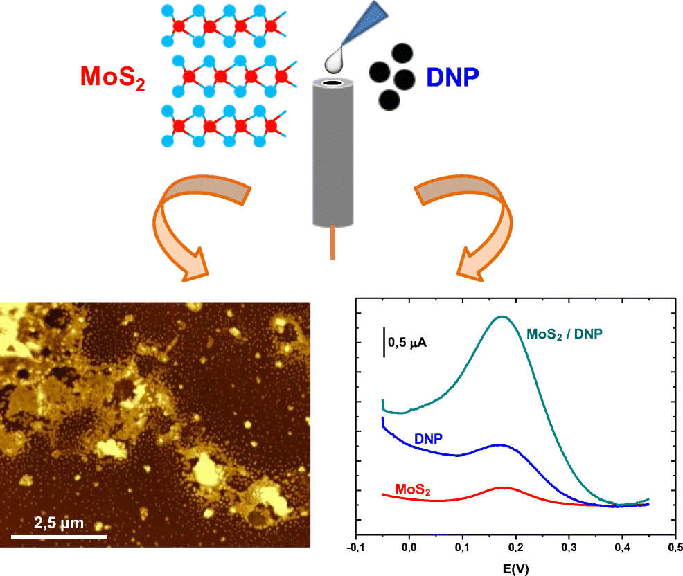 Synergistic effect of MoS2 and diamond nanoparticles in electrochemical
