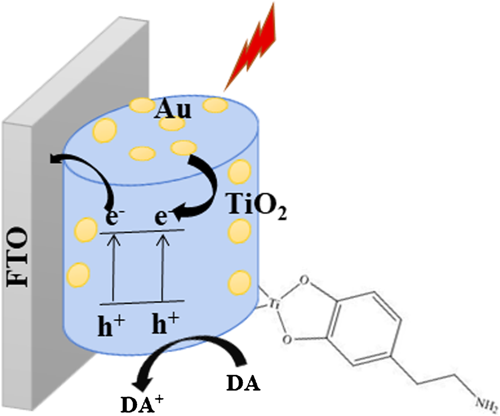 Photoelectrochemical sensing of dopamine using goldTiO2