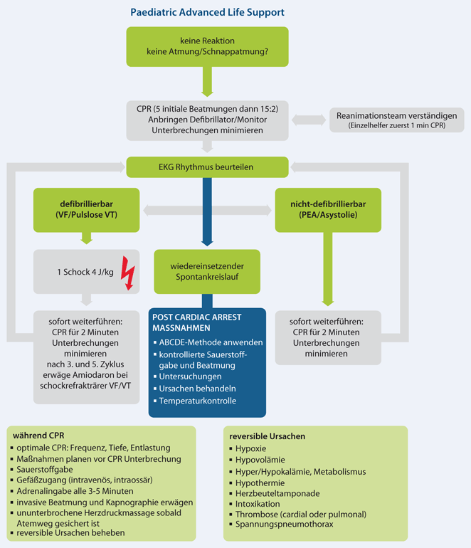 Lebensrettende Maßnahmen bei Kindern („paediatric life ...