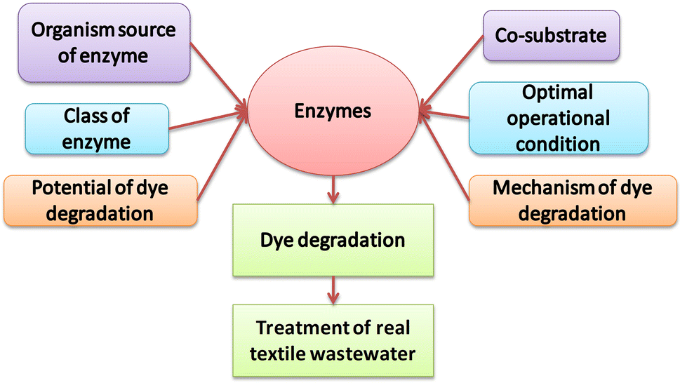 Applicability of enzymes produced from different biotic species for