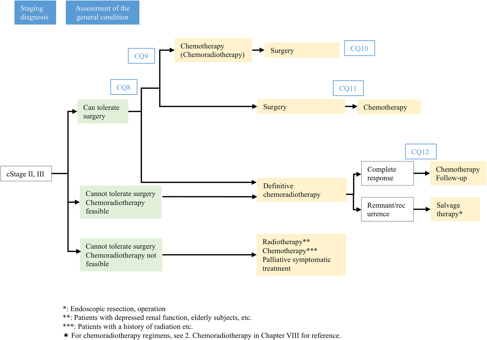 Esophageal cancer practice guidelines 2017 edited by the