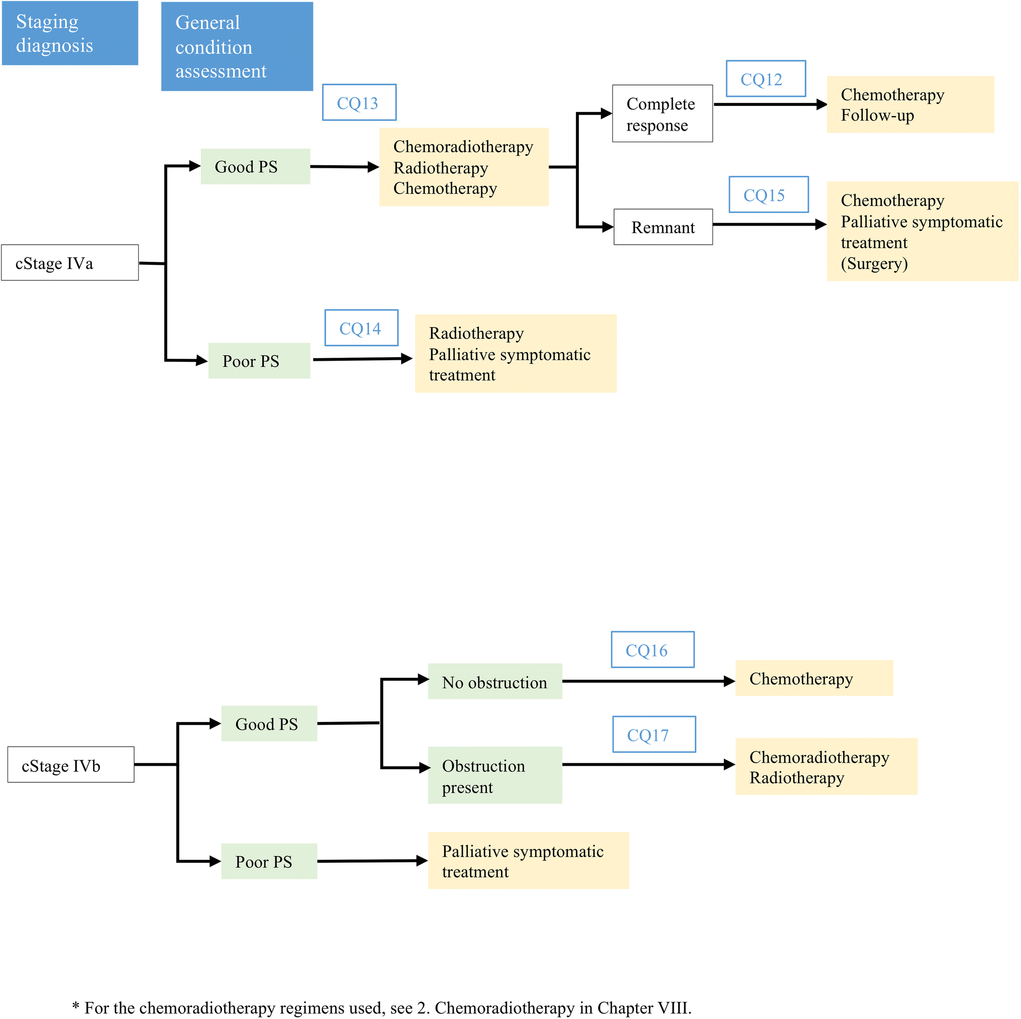 Esophageal cancer practice guidelines 2017 edited by the