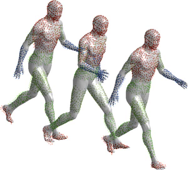 A Markerless Motion Capture System to Study Musculoskeletal