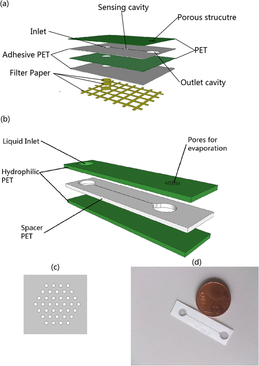 A microfluidic device based on an evaporationdriven micropump