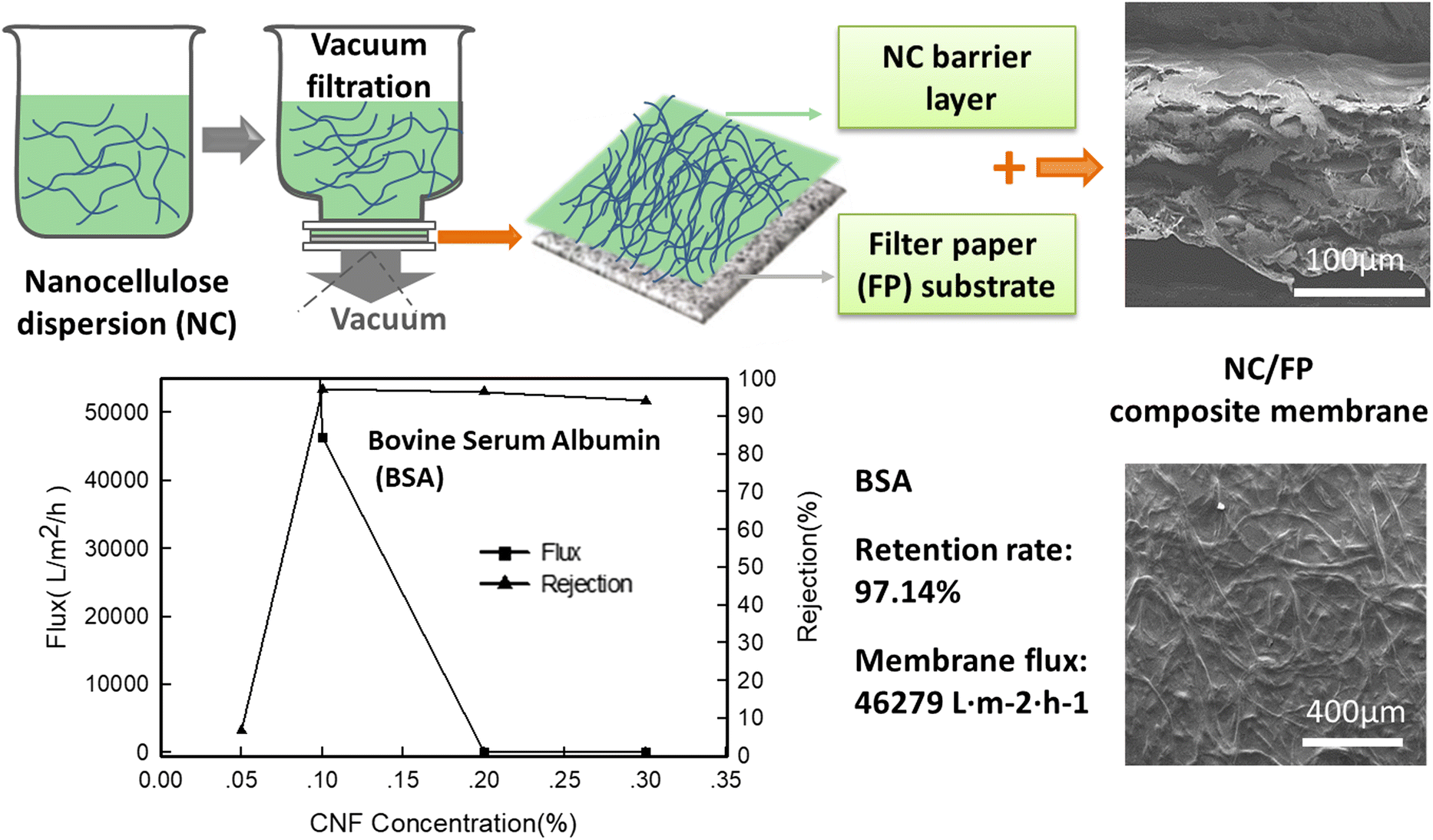 Preparation of nanocellulose/filter paper (NC/FP) composite membranes