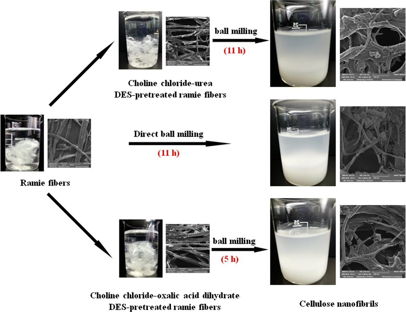 Choline chloridebased deep eutectic solvent systems as a pretreatment