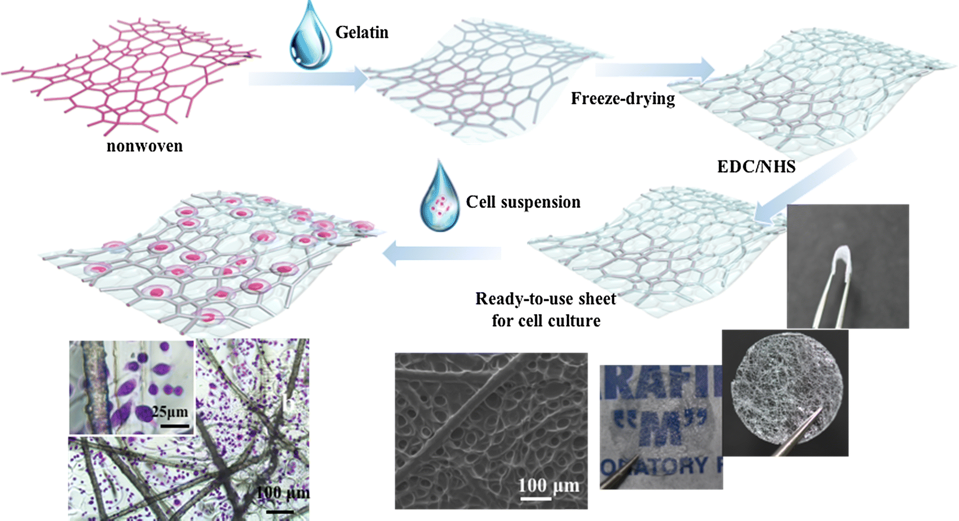 Freezedrying prepared readytouse gelatin polypropylene nonwoven
