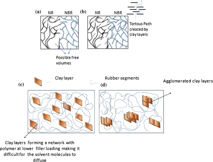 Transport of organic solvents through natural rubber/nitrile rubber