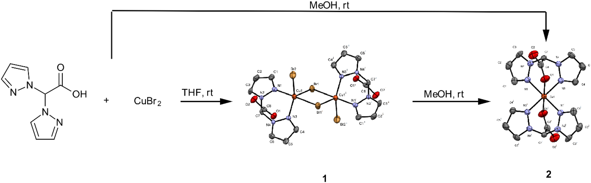 Syntheses and Crystal Structures of Copper(II) Bis(pyrazolyl)acetic