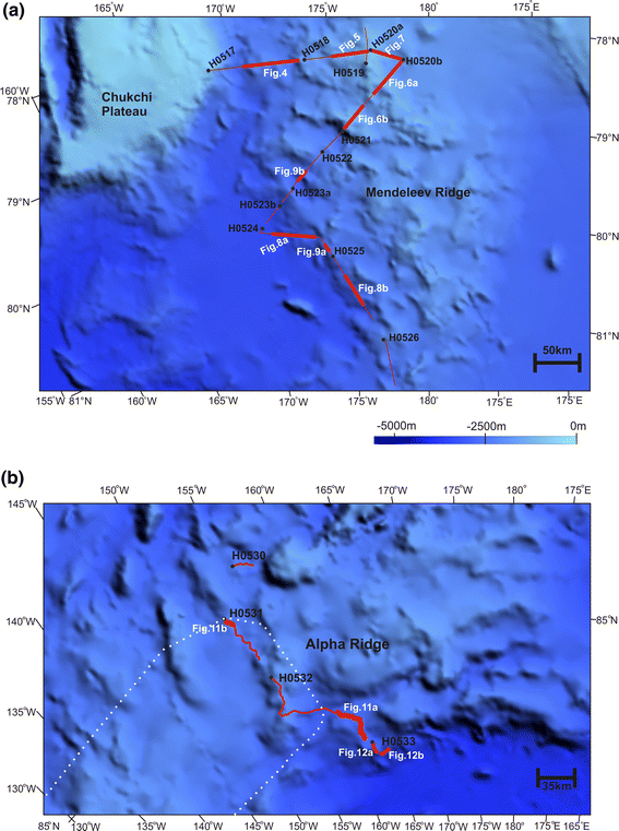Hemipelagic deposits on the Mendeleev and northwestern Alpha submarine ...