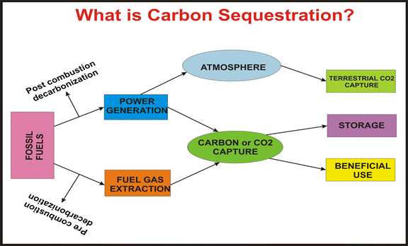 carbon sequestration definition carbon sequestration definition