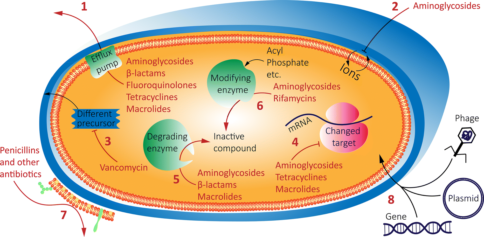 Comprehensive review of antimicrobial activities of plant flavonoids