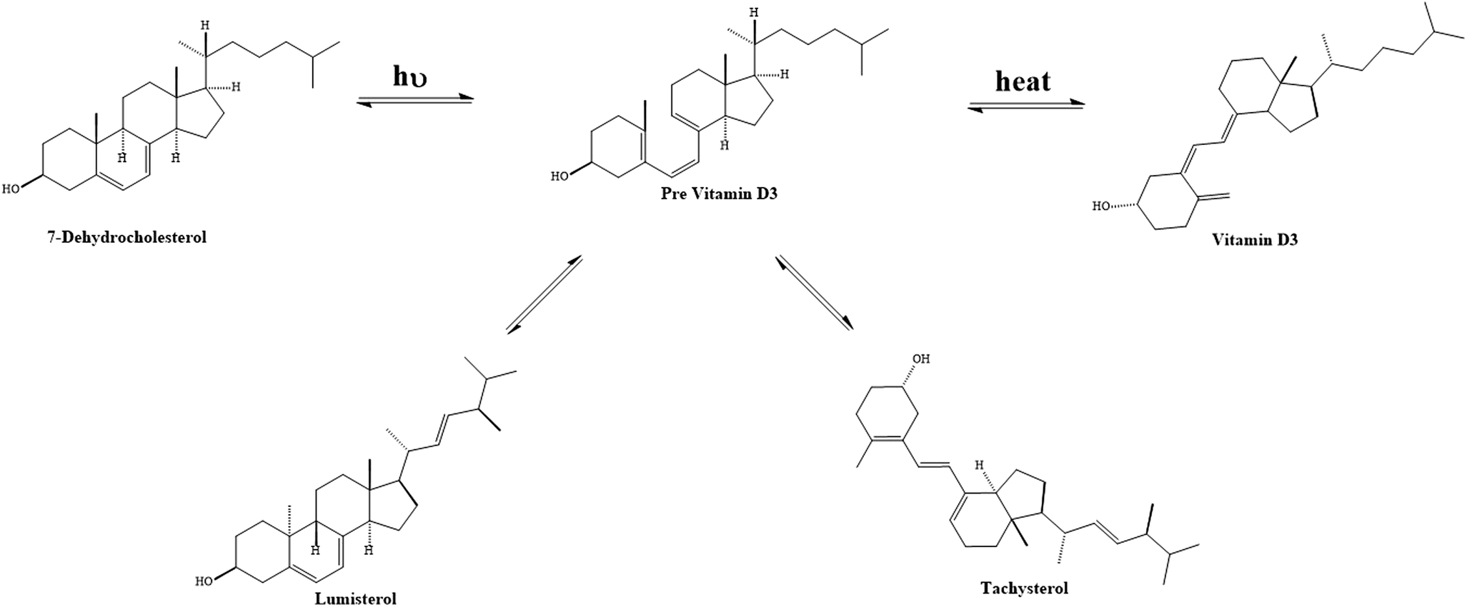 Третий синтез. Витамин д Синтез биотехнология.