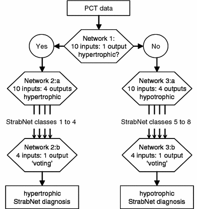 The differential diagnosis of vertical strabismus from prism cover test ...