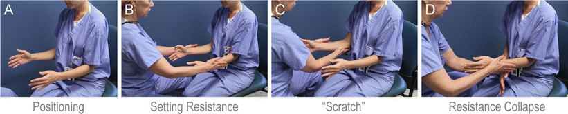 The “hierarchical” Scratch Collapse Test for identifying multilevel ...
