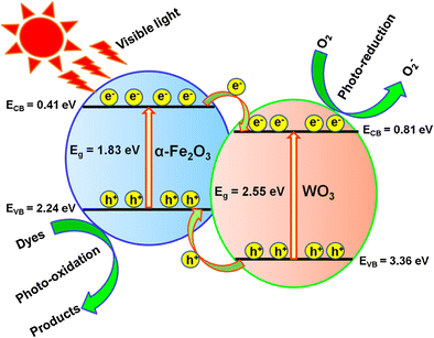 Facile synthesis of α-Fe2O3/WO3 composite with an enhanced ...