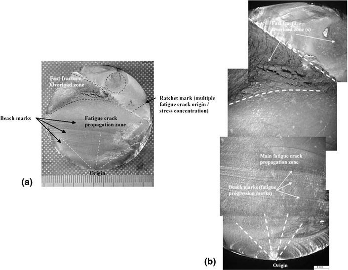 Failure and Fracture Analysis of Austenitic Stainless Steel Marine
