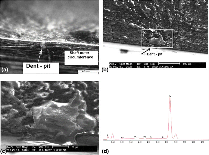 Failure and Fracture Analysis of Austenitic Stainless Steel Marine