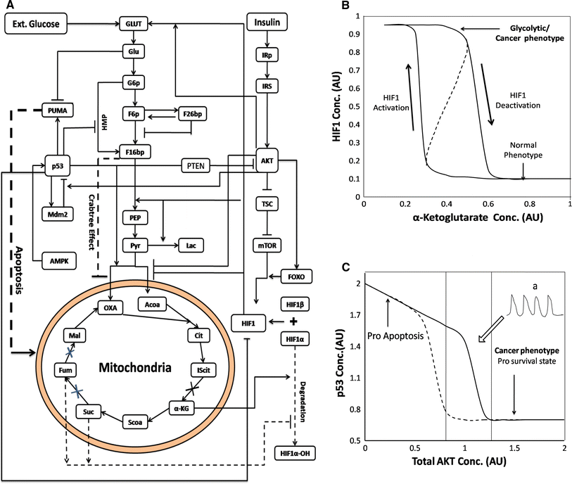6929 Meyer Wiring Diagram