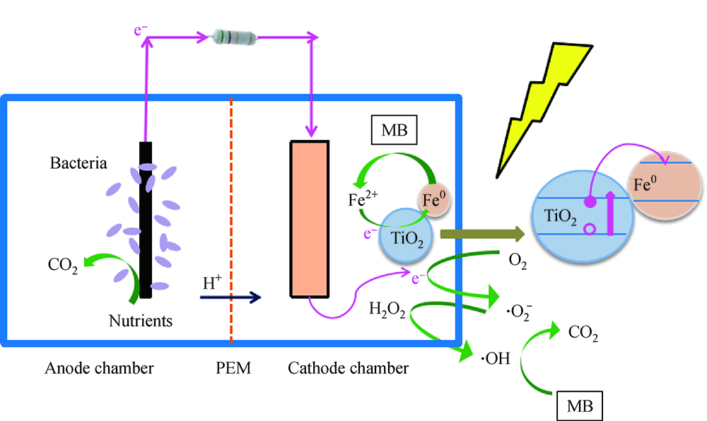 An electrochemical process that uses an Fe0/TiO2 cathode to degrade ...
