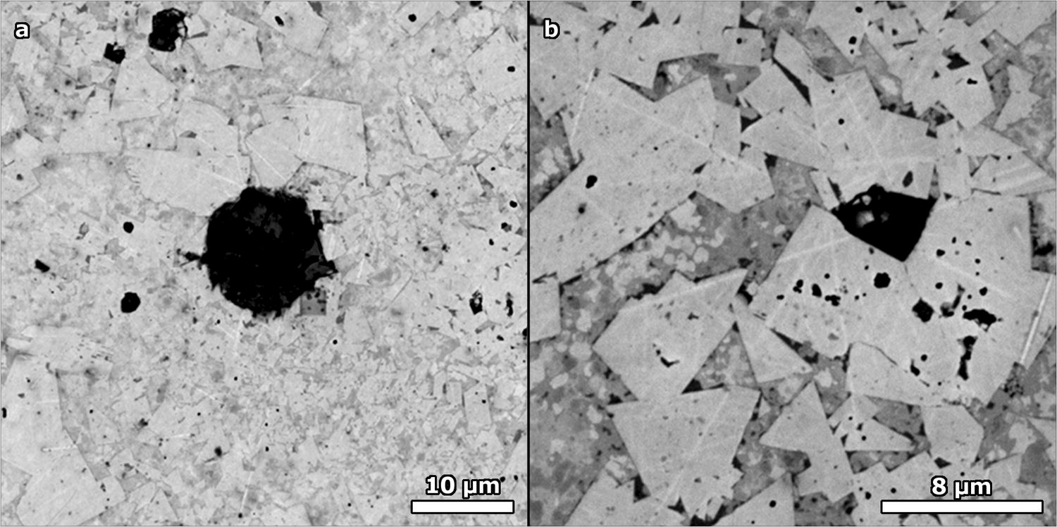 Additive Manufacturing of Cemented Tungsten Carbide with a CobaltFree