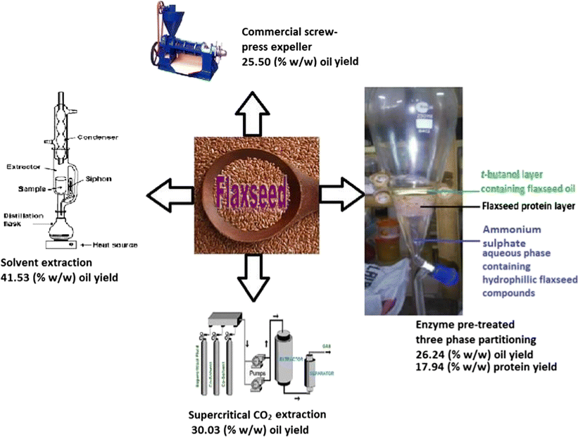 Extraction of Flaxseed Oil A Comparative Study of ThreePhase