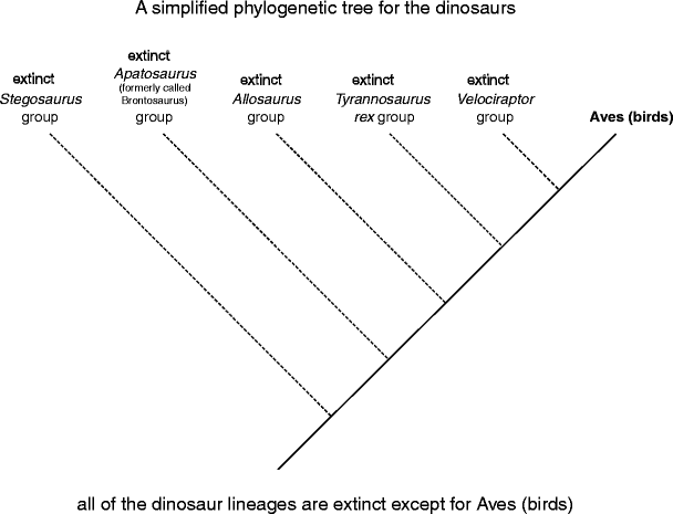 How to Read a Phylogenetic Tree | SpringerLink