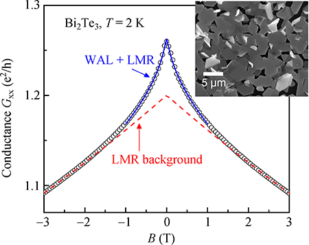weak antilocalization phase coherence weak antilocalization phase coherence