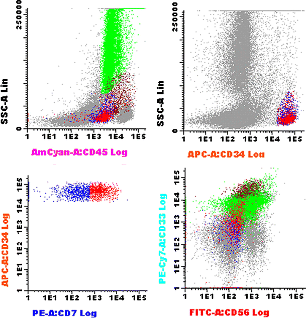 The AML–MDS interface—leukemic transformation in myelodysplastic ...