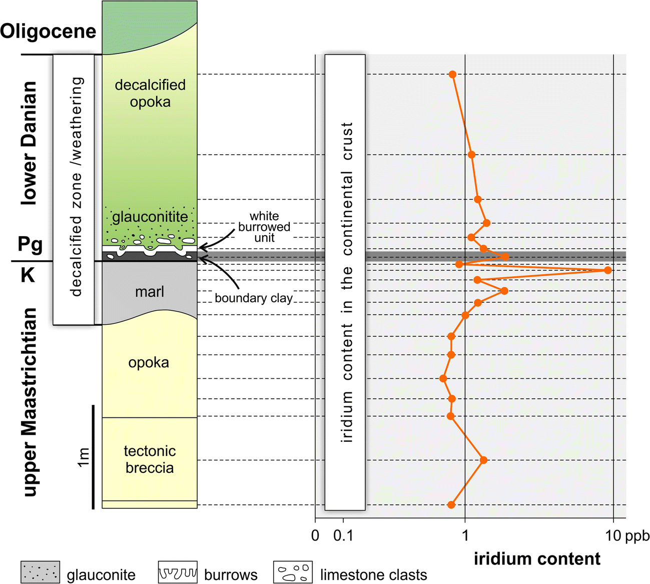 The Cretaceous-Paleogene (K-Pg) Boundary Site At Lechówka—a New Point ...