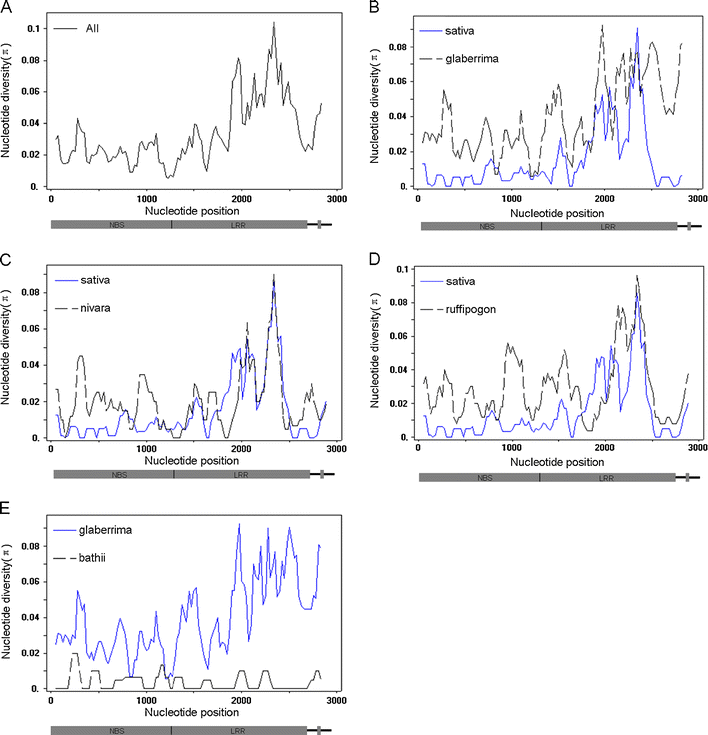 Genetic Variation and Evolution of the Pi9 Blast Resistance Locus in ...