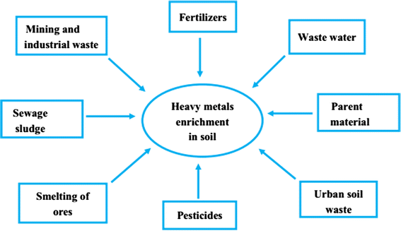 Heavy Metals Status, Transport Mechanisms, Sources, And Factors ...