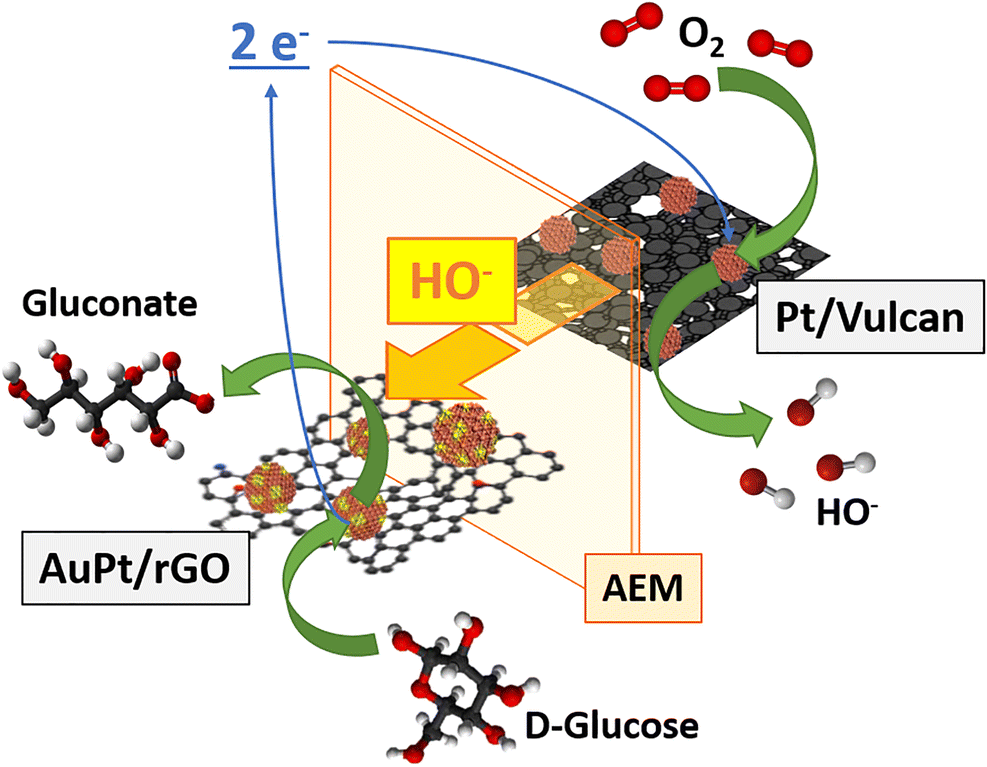 Electrochemical Energy Conversion from Direct Oxidation of Glucose on
