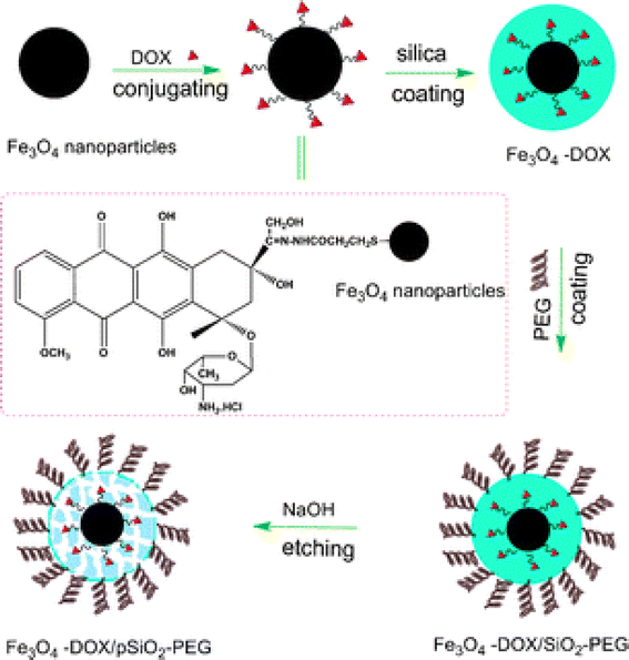 Magnetic nanoparticle drug delivery systems for targeting tumor ...
