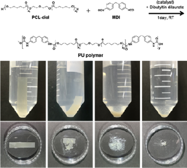 Synthesis and Characterizations of Biodegradable Polyurethane
