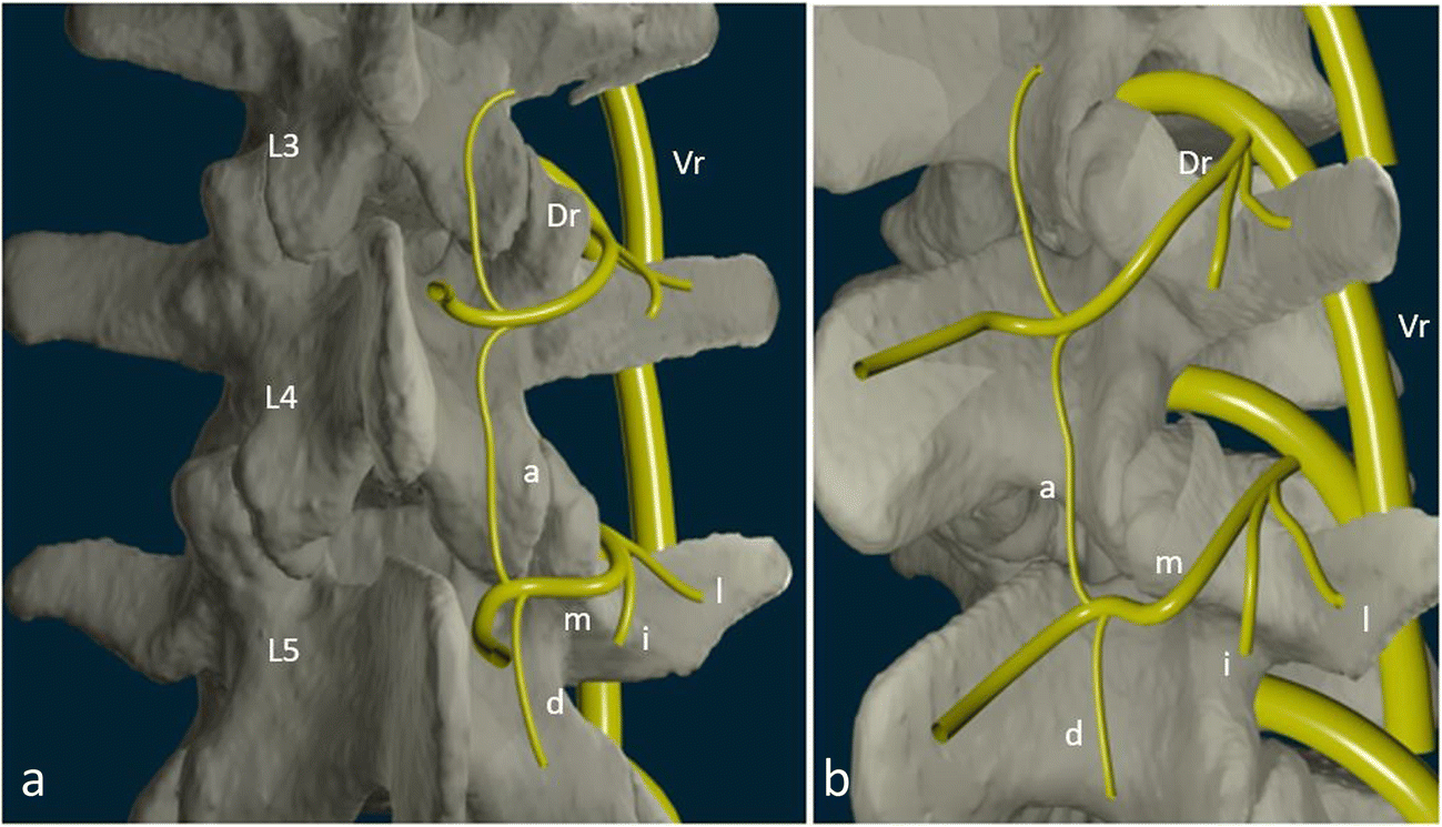 Facet joint syndrome from diagnosis to interventional management