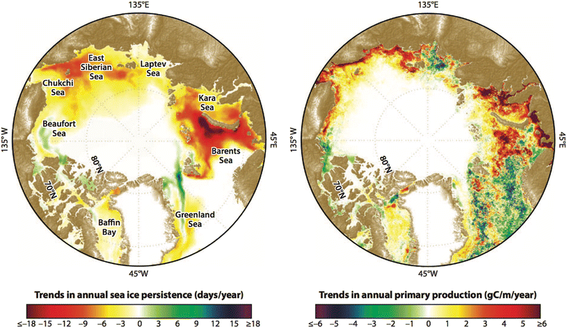 A synthesis of the arctic terrestrial and marine carbon cycles under ...