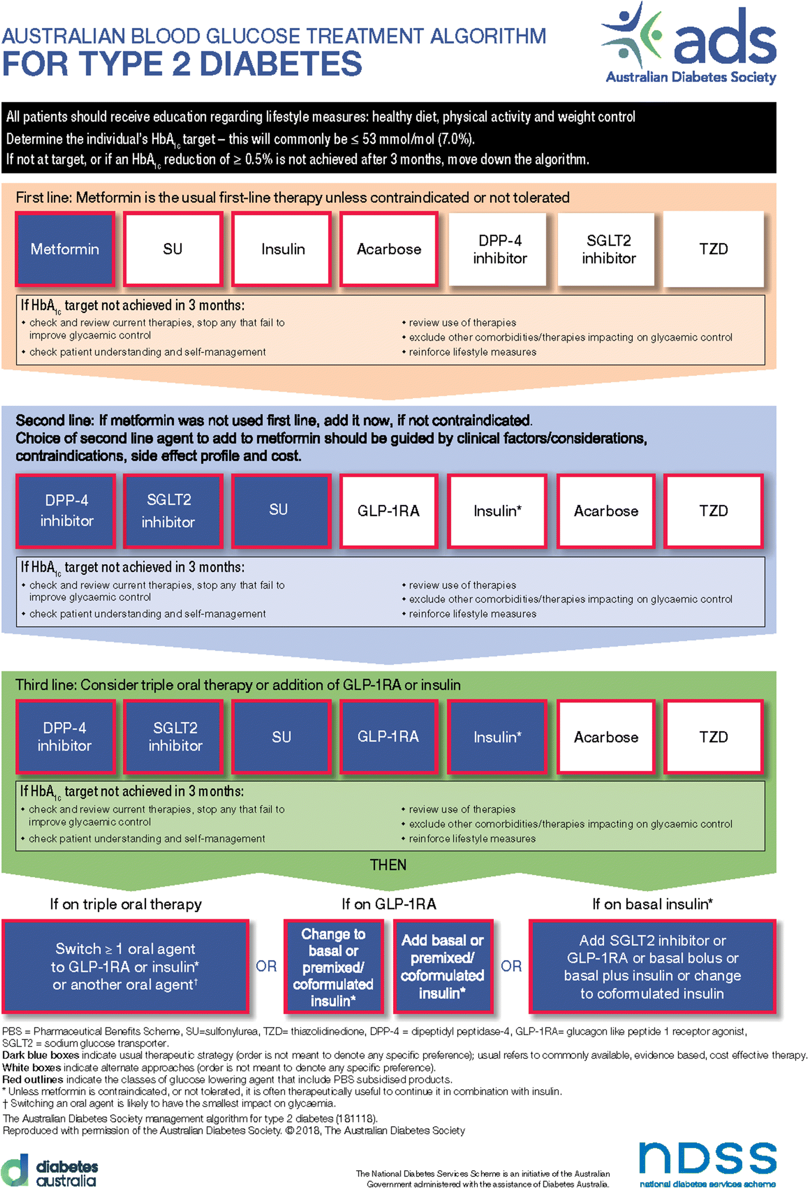 Type 2 Diabetes Treatment Guidelines Algorithm