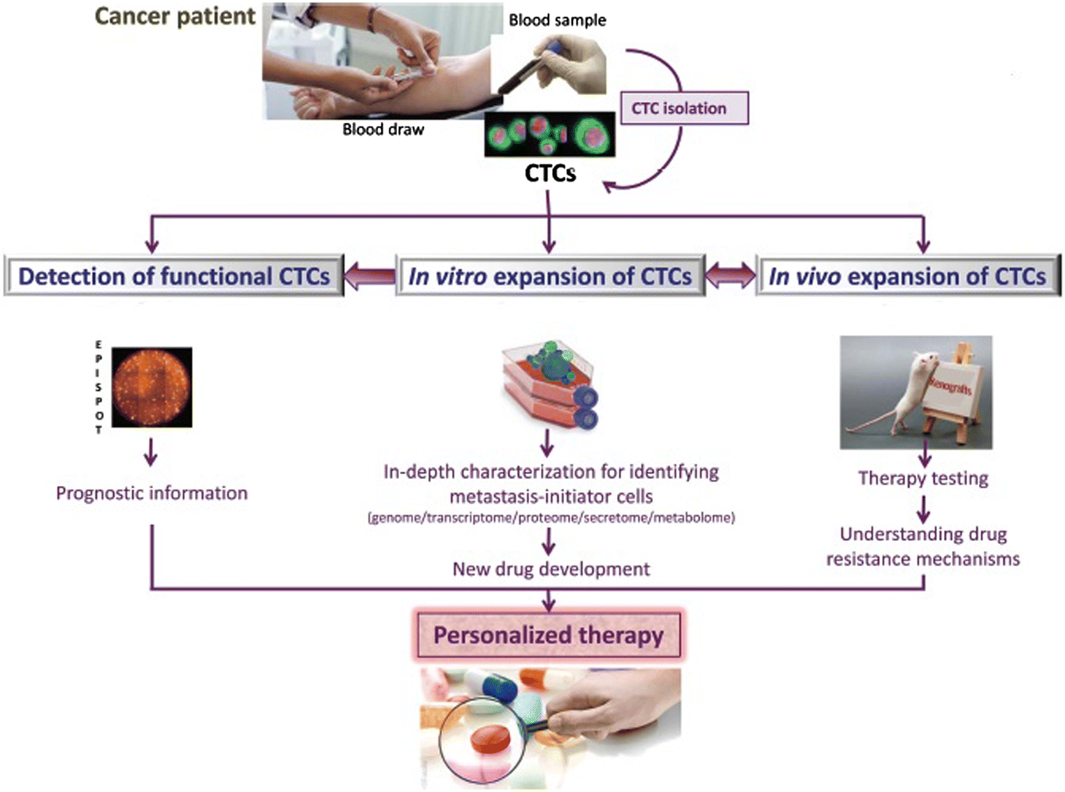 Metastatic and triplenegative breast cancer challenges