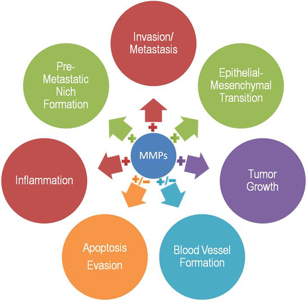 Metastatic and triplenegative breast cancer challenges and treatment