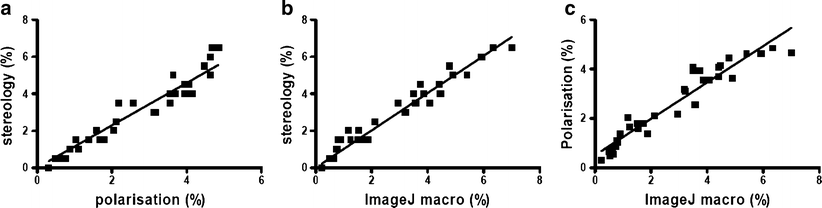 stereology imagej stereology imagej