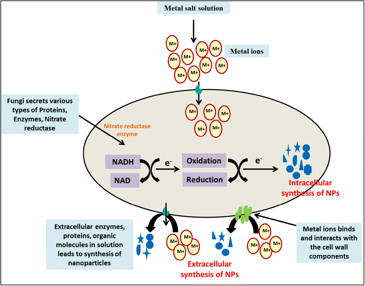 Synthesis using image