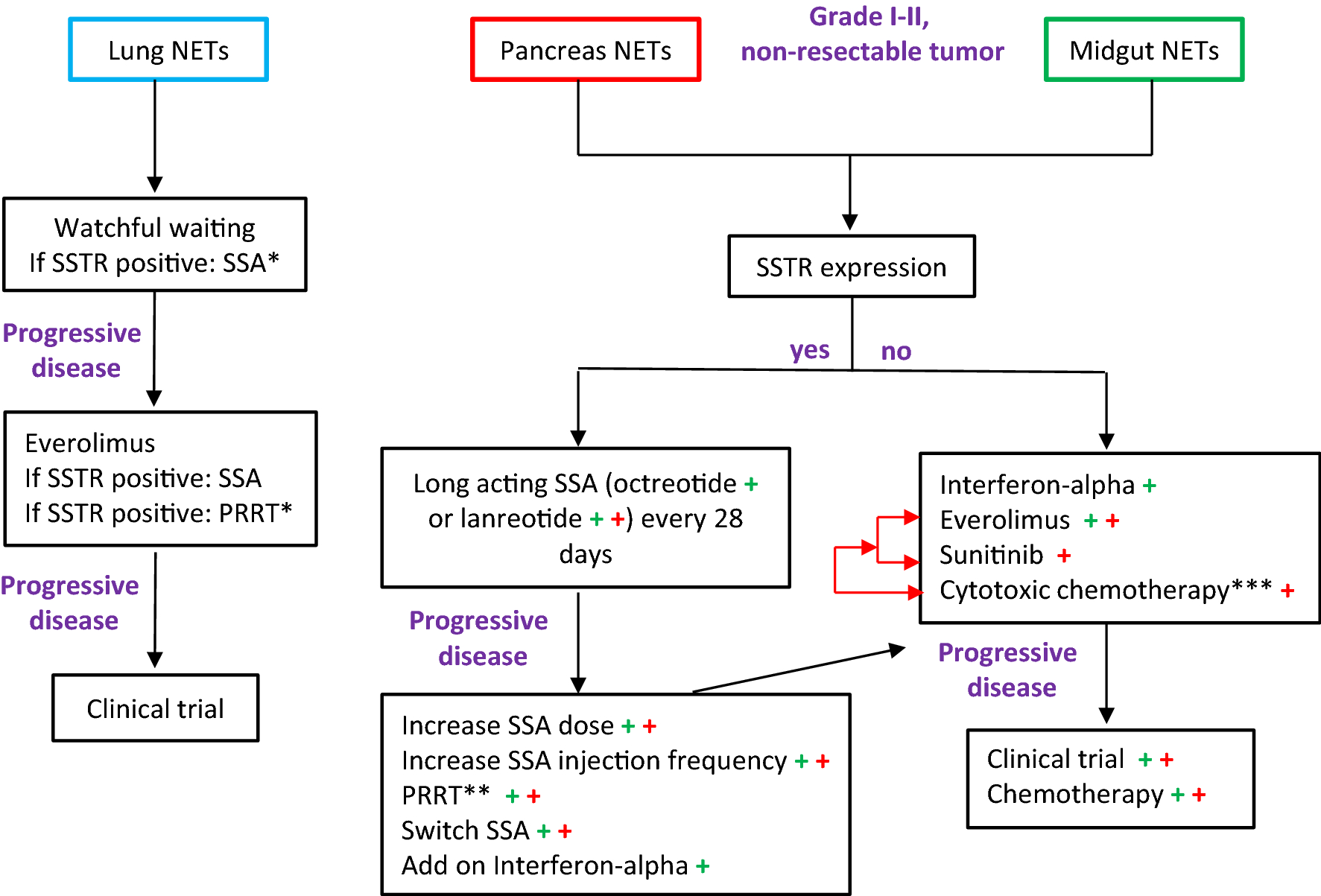 Targeted Systemic Treatment of Neuroendocrine Tumors Current Options