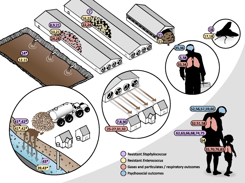 Industrial Food Animal Production and Community Health SpringerLink